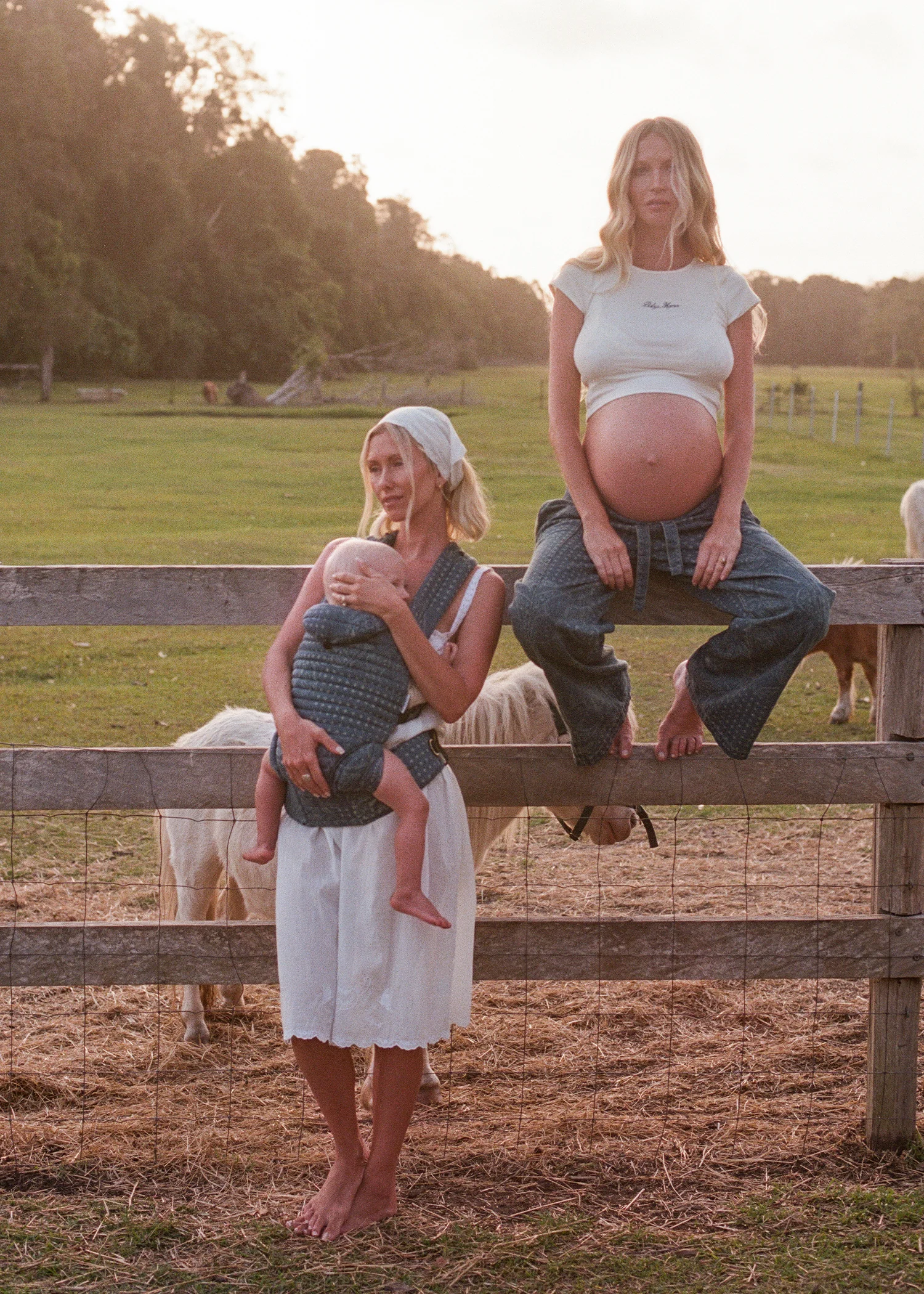 The Armadillo Baby Carrier - SPELL - Image 3